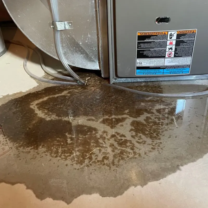 Pipe Burst and Leak Restoration in South Ogden, UT